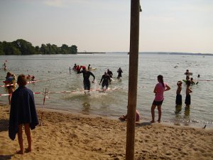 S.Schimming 03